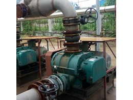 章丘(qiū)91成人免费版(yuán)汙水曝氣羅茨風機用於瑞(ruì)祥生物廠