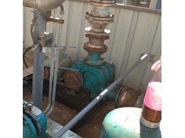 章丘(qiū)91成人免费版機械羅茨鼓風(fēng)機正式在(zài)光(guāng)大環保能源(太康)有限公司投入使用