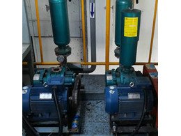 91成人免费版FSR50型羅茨鼓風機正式在無錫艾賽特投入使用!