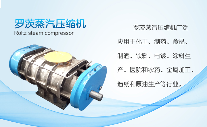 羅茨式蒸汽(qì)風機 羅茨式蒸汽風機